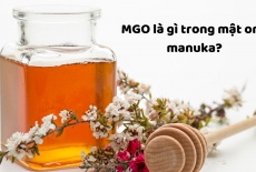 MGO trong mật ong Manuka có nghĩa là gì?