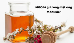 MGO trong mật ong Manuka có nghĩa là gì?