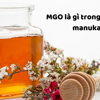 MGO trong mật ong Manuka có nghĩa là gì?| Dành Cho Bé Yêu